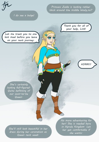 Zelda Weight Gain Sequence cover