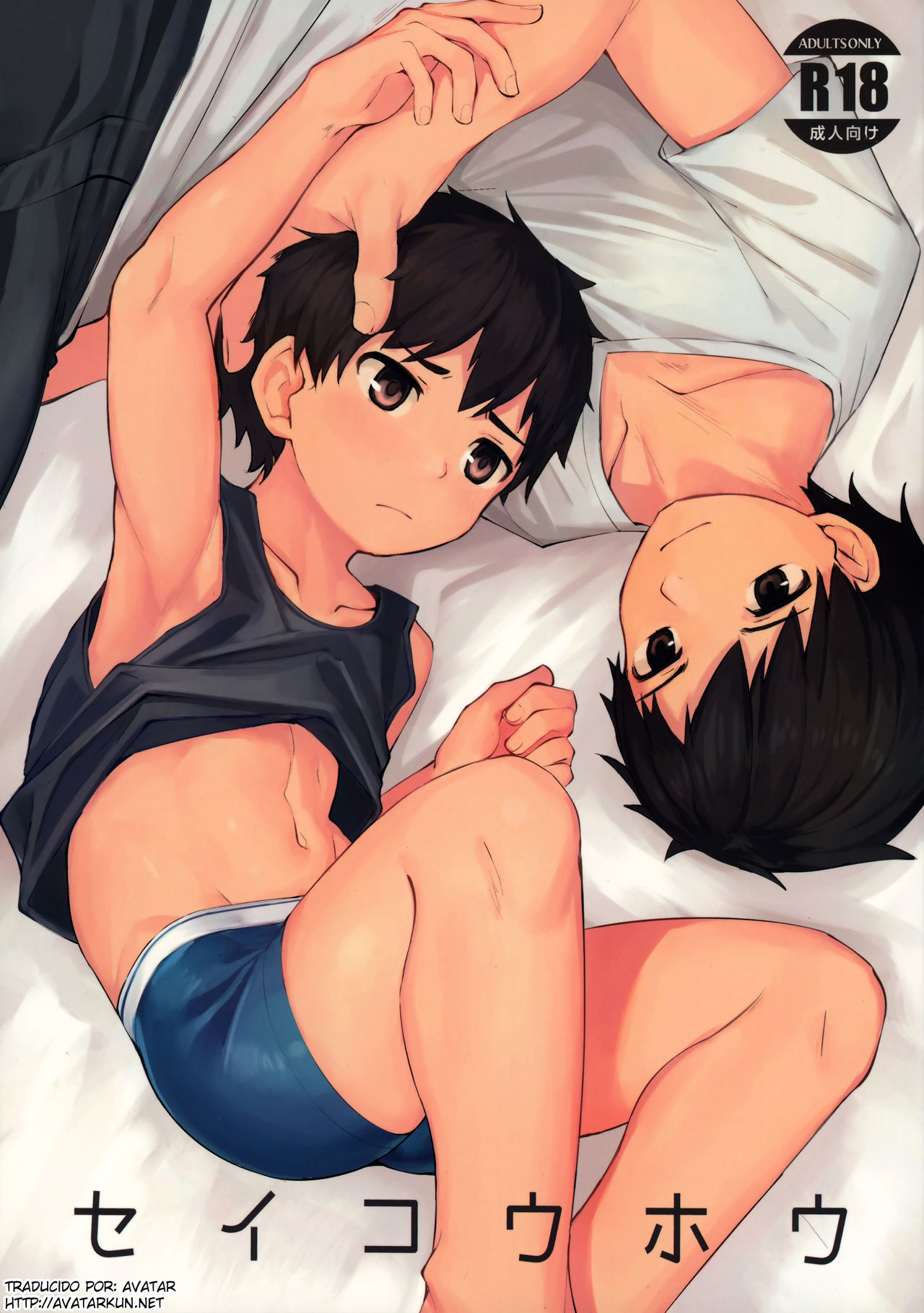 Seikouhou page 1 full