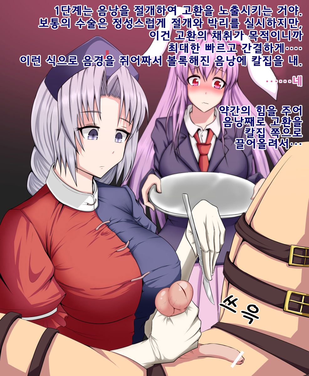 Eirin to Udonge no Kyousei Kougan Tekishutsu Shujutsu l 에이린과 우동게의 강제 고환 적출 수술 page 4 full