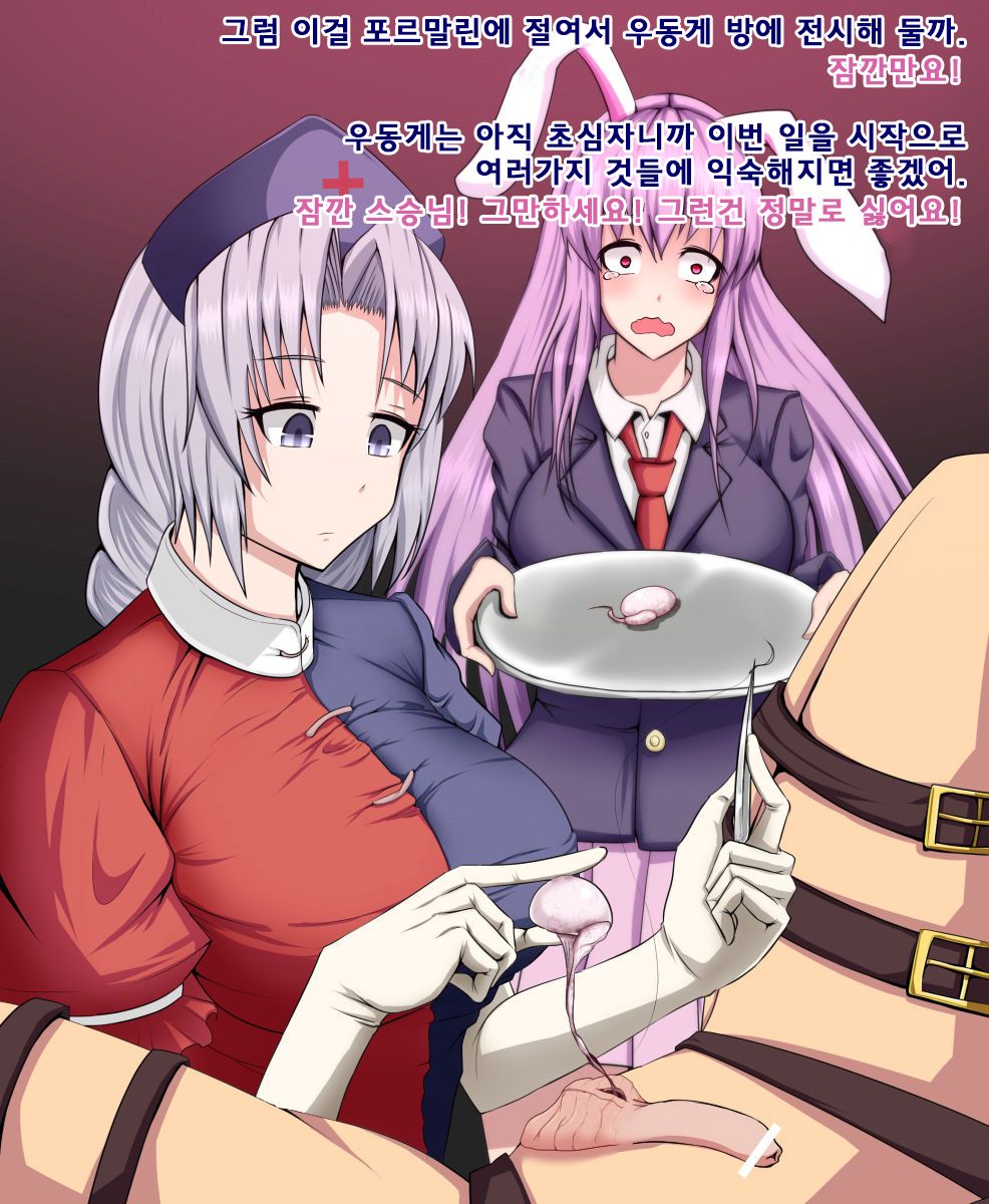Eirin to Udonge no Kyousei Kougan Tekishutsu Shujutsu l 에이린과 우동게의 강제 고환 적출 수술 page 9 full