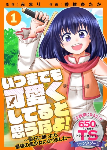itsu made mo kawaiku shi teruto omou na yo! ～hijiriishini negattara～ vol.1 cover