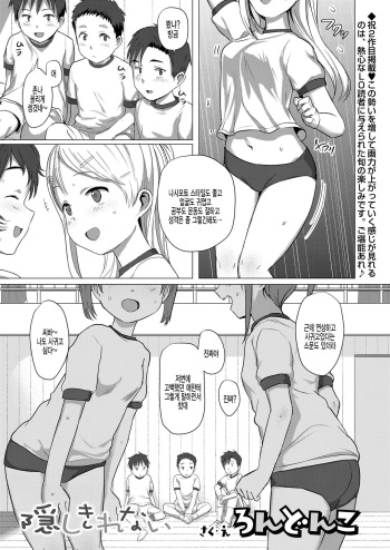 Kakushikirenai cover