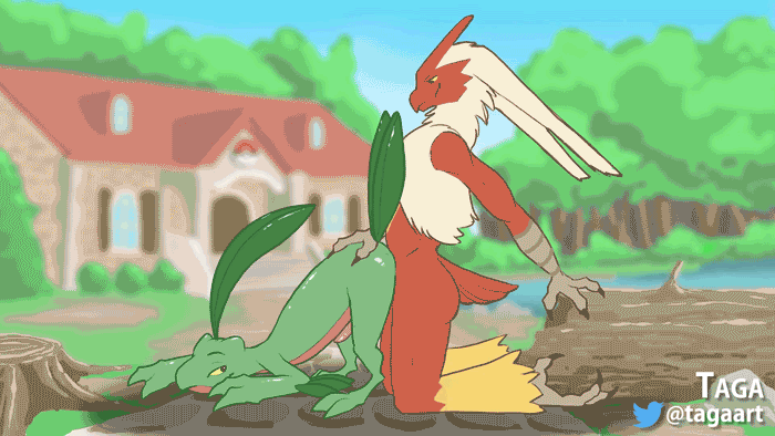 Blaziken page 9 full