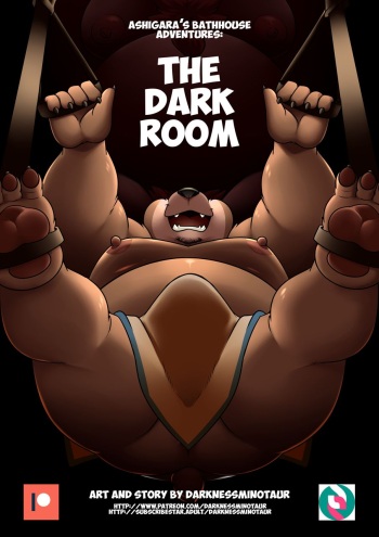 The dark room cover