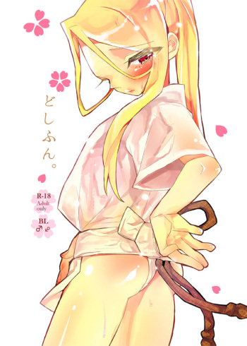 どしふん。 cover