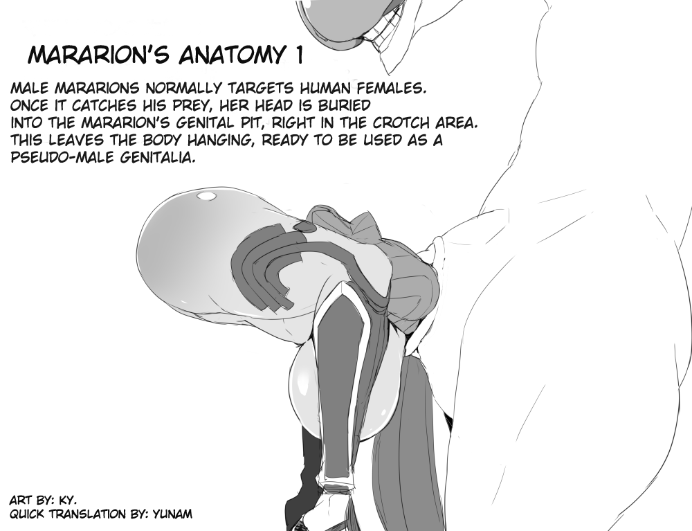 Ky. quick translations from "Minamoto Raikou Fantia Collection" page 1 full