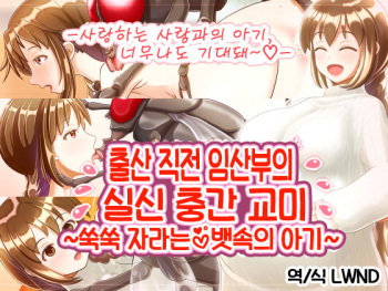 Shussan Chokuzen Ninpu no Shisshin Mushi Koubi ~Sukusuku Onaka no Aka-chan~ cover