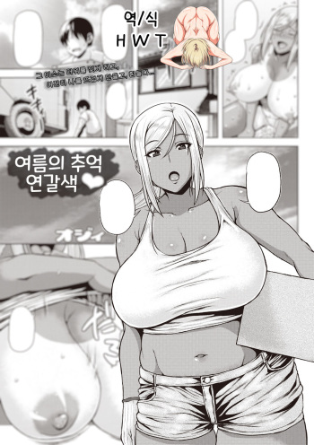 여름의 추억 연갈색 cover