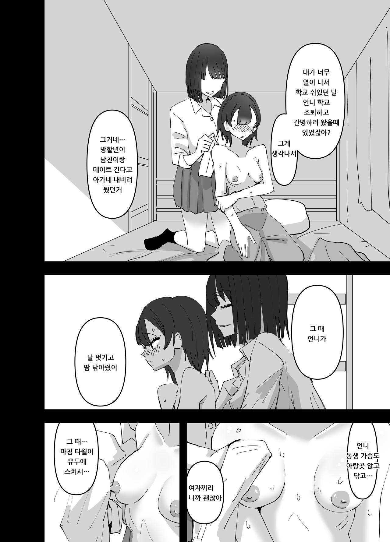 Imouto ga Watashi o Okazu ni Shitate Onanie o Shite ita Hanashi | 동생이 나를 반찬 삼아 자위했던 이야기 page 10 full