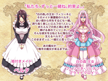 Elf Shokushu Ryoujoku ~Shokushu no Majo to Elf Hime Hen~ cover