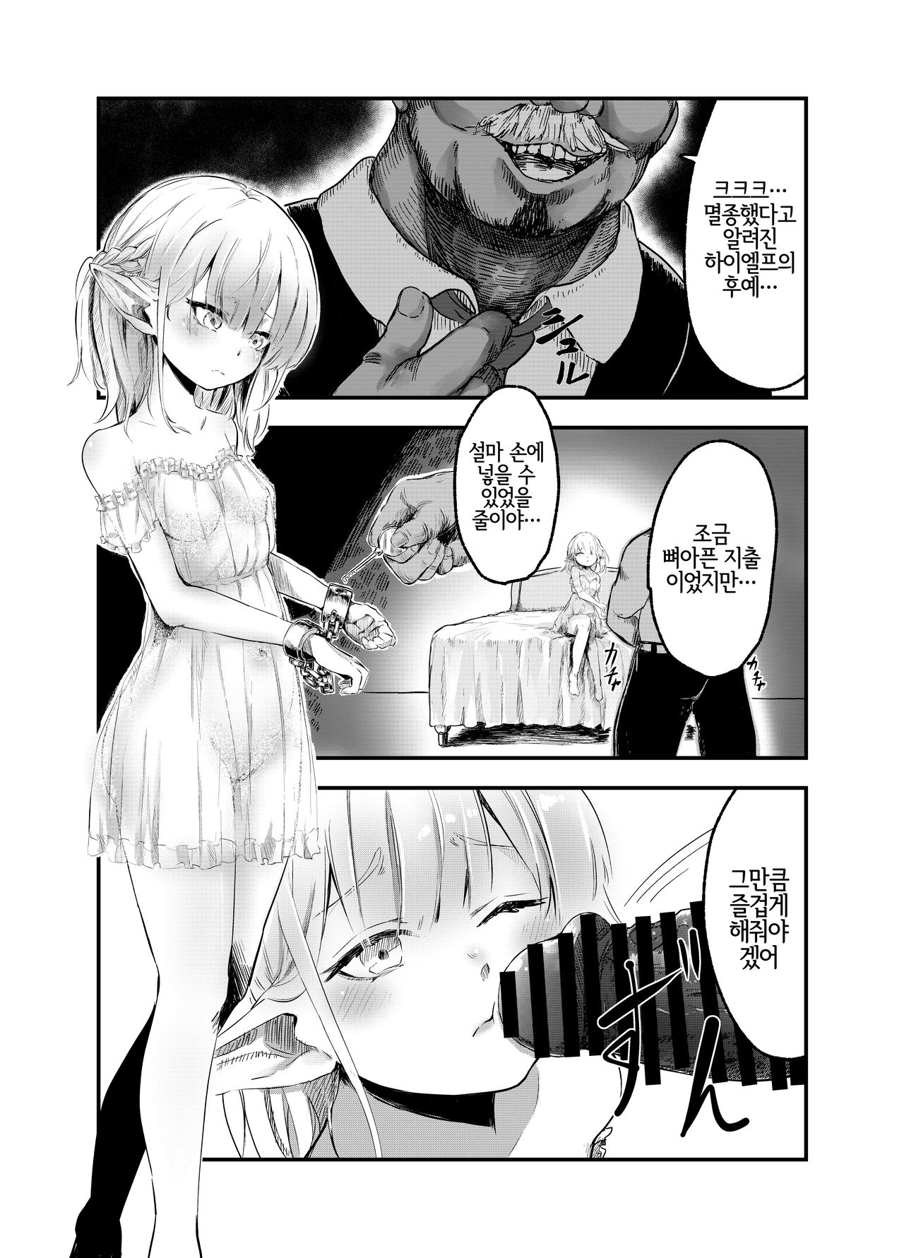 Elf o Okasu Hon | 엘프를 따먹는 책 page 2 full