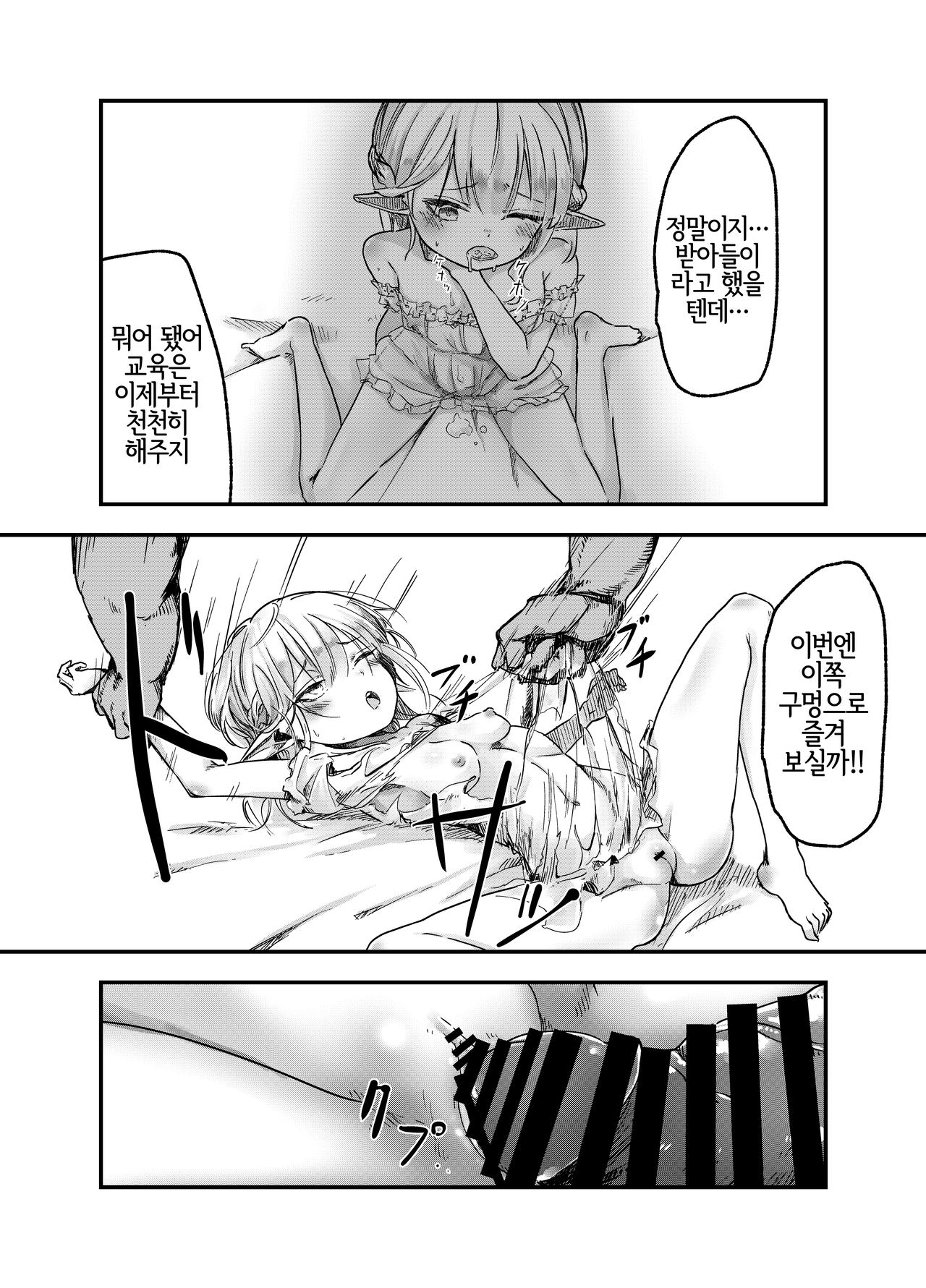 Elf o Okasu Hon | 엘프를 따먹는 책 page 5 full