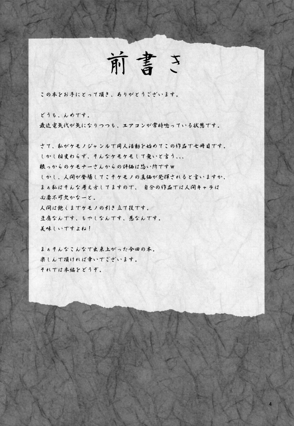 Aigan Mitama | Espíritu Compañero page 3 full
