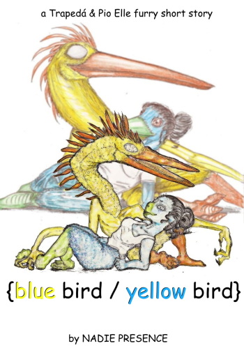 Blue Bird / Yellow Bird cover