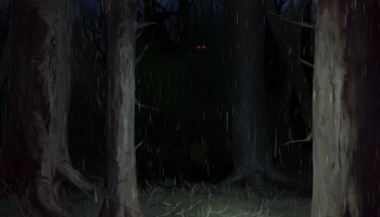 December Patreon -2020 cover