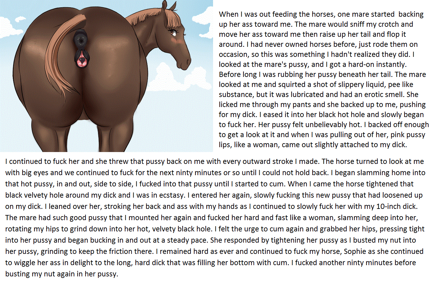 Horse CYOA/JOI page 7 full