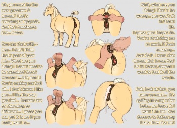 Horse CYOA/JOI cover