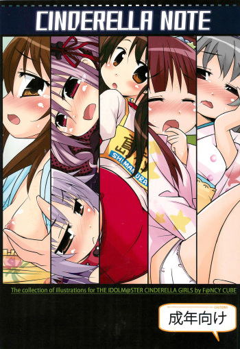 CINDERELLA NOTE cover
