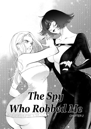 The Spy Who Robbed Me cover