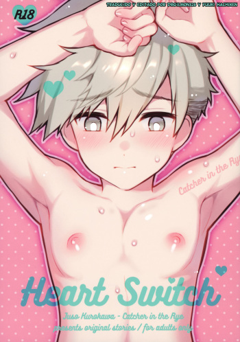 Heart Switch cover
