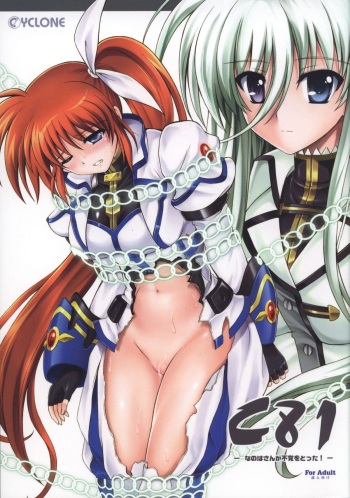 Nanoha-san ga Fukaku wo Totta! cover