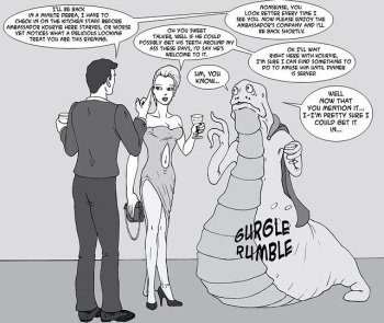 Ambassador cover