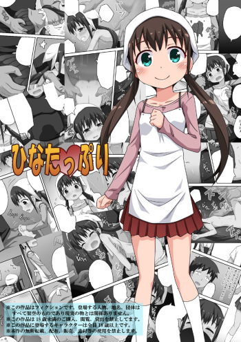 Hina tappuri cover