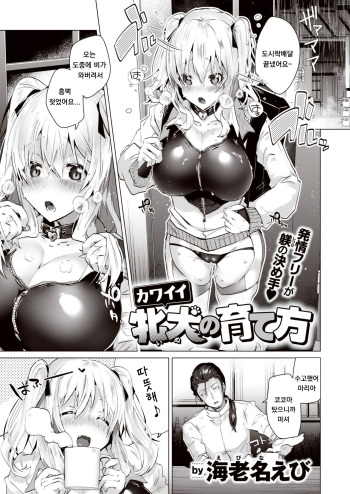 Kawaii Inu no Sodatekata cover