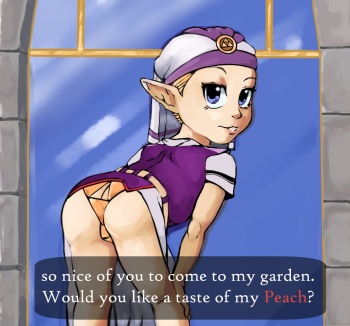 Zelda's Proposition cover