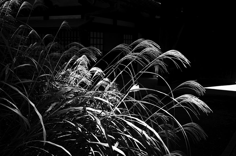 saitom-camera  | Twitter page 5 full