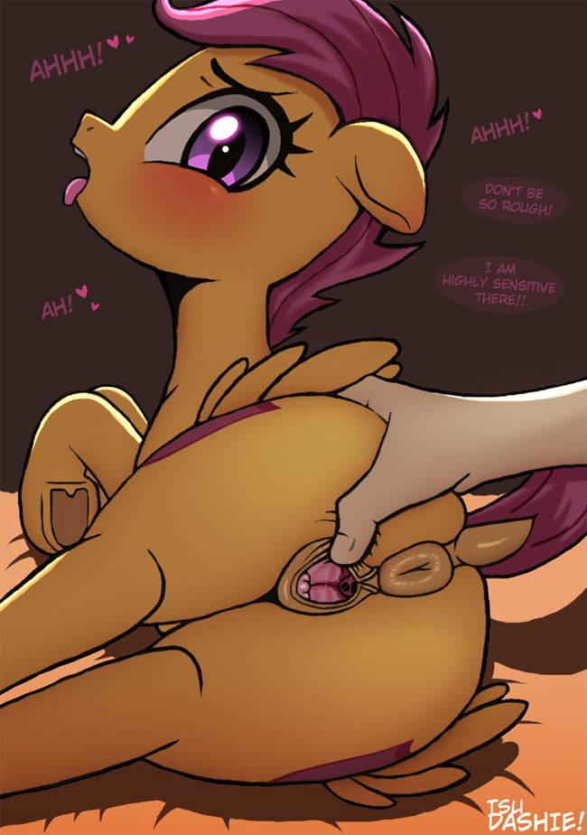 Foalcon page 9 full