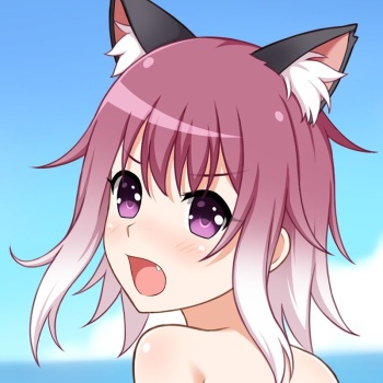 pixiv Hiroki cover