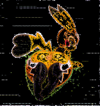 Interpolated High FPS gifs cover