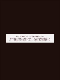 Shoujo Kishi Haiboku 4 ~Niku Case Ka~