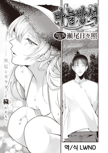 Hari no mushiro cover