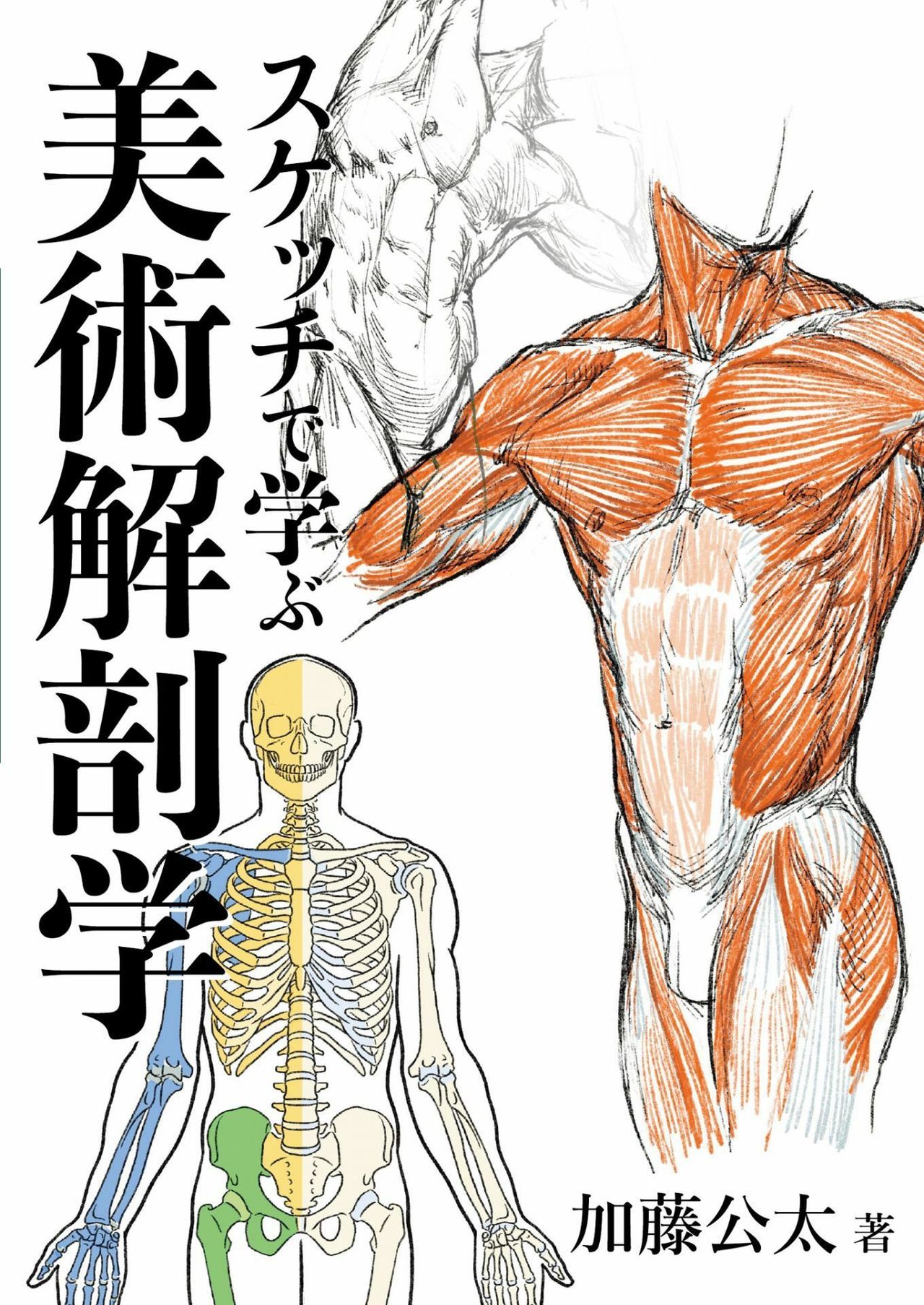 Art anatomy learned from sketches by Kota Kato page 1 full
