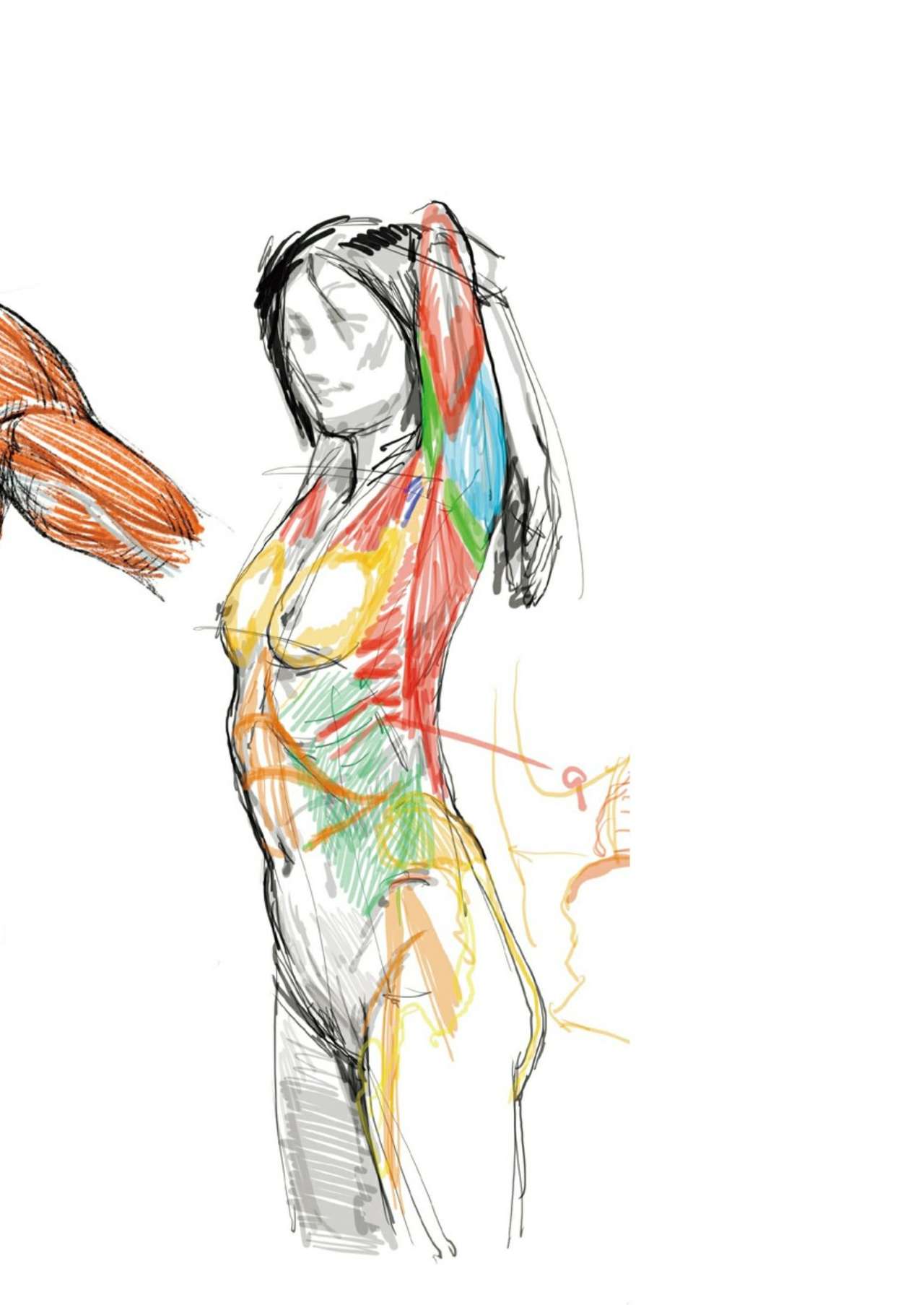 Art anatomy learned from sketches by Kota Kato page 2 full