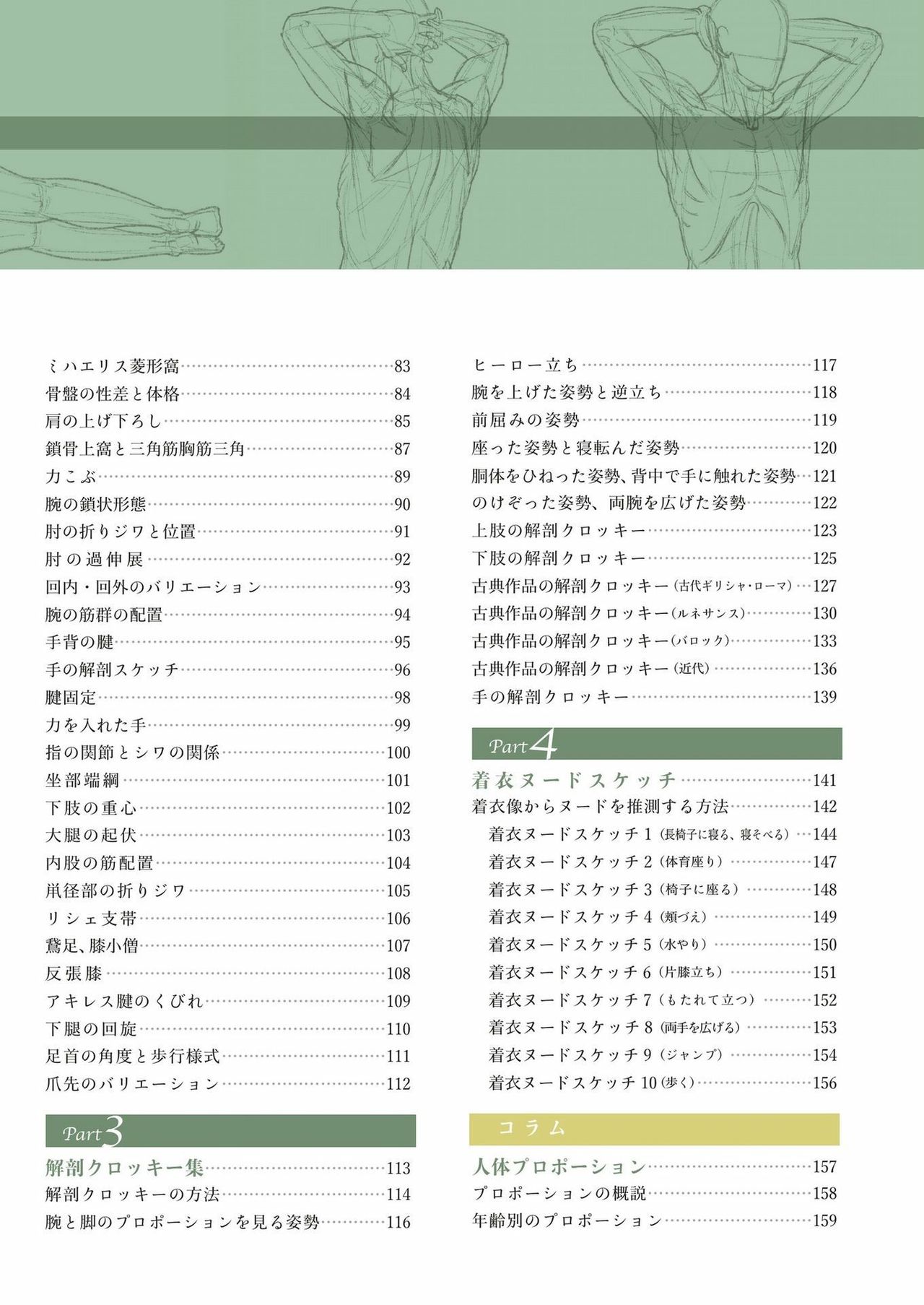 Art anatomy learned from sketches by Kota Kato page 7 full