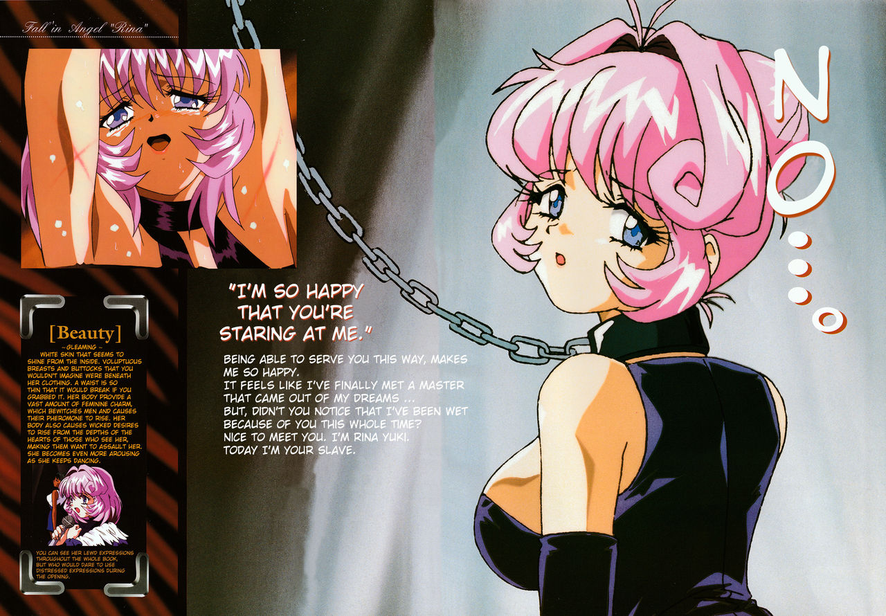 Fallen Angel Rina Art Book page 6 full