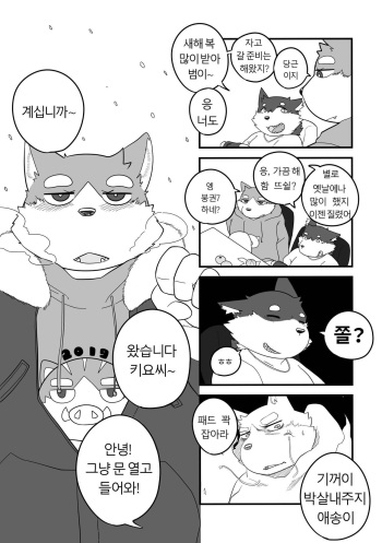 Daily Life in Winter cover