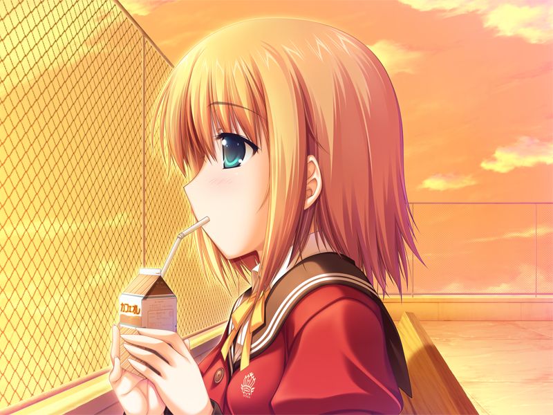 W. L. O. Sekai Ren'ai Kikou page 10 full