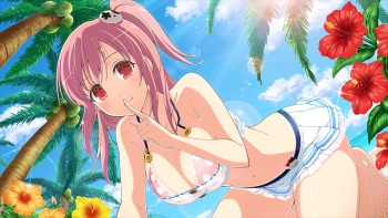 Master Ninja Senran Kagura NEW LINK - Crossover cover