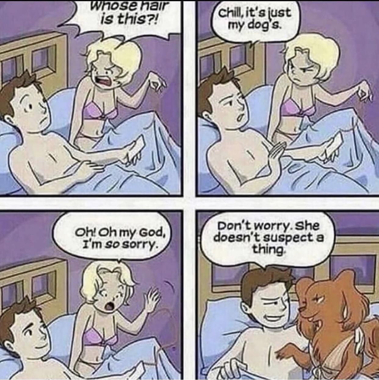 Dogs Who Love Humans page 6 full