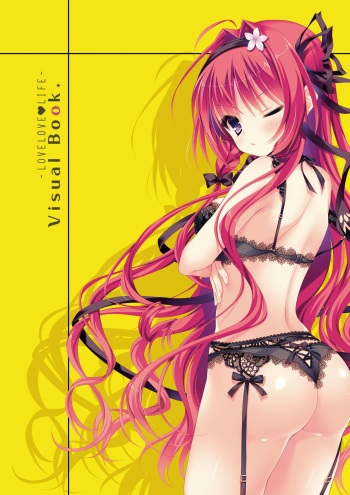 らぶらぶらいふ Visual Fan Book cover