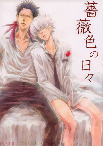 Katekyo Hitman Reborn! dj - Barairo no Hibi cover