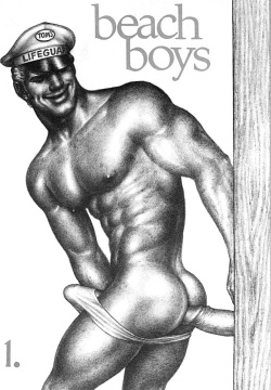 Beach Boys #1