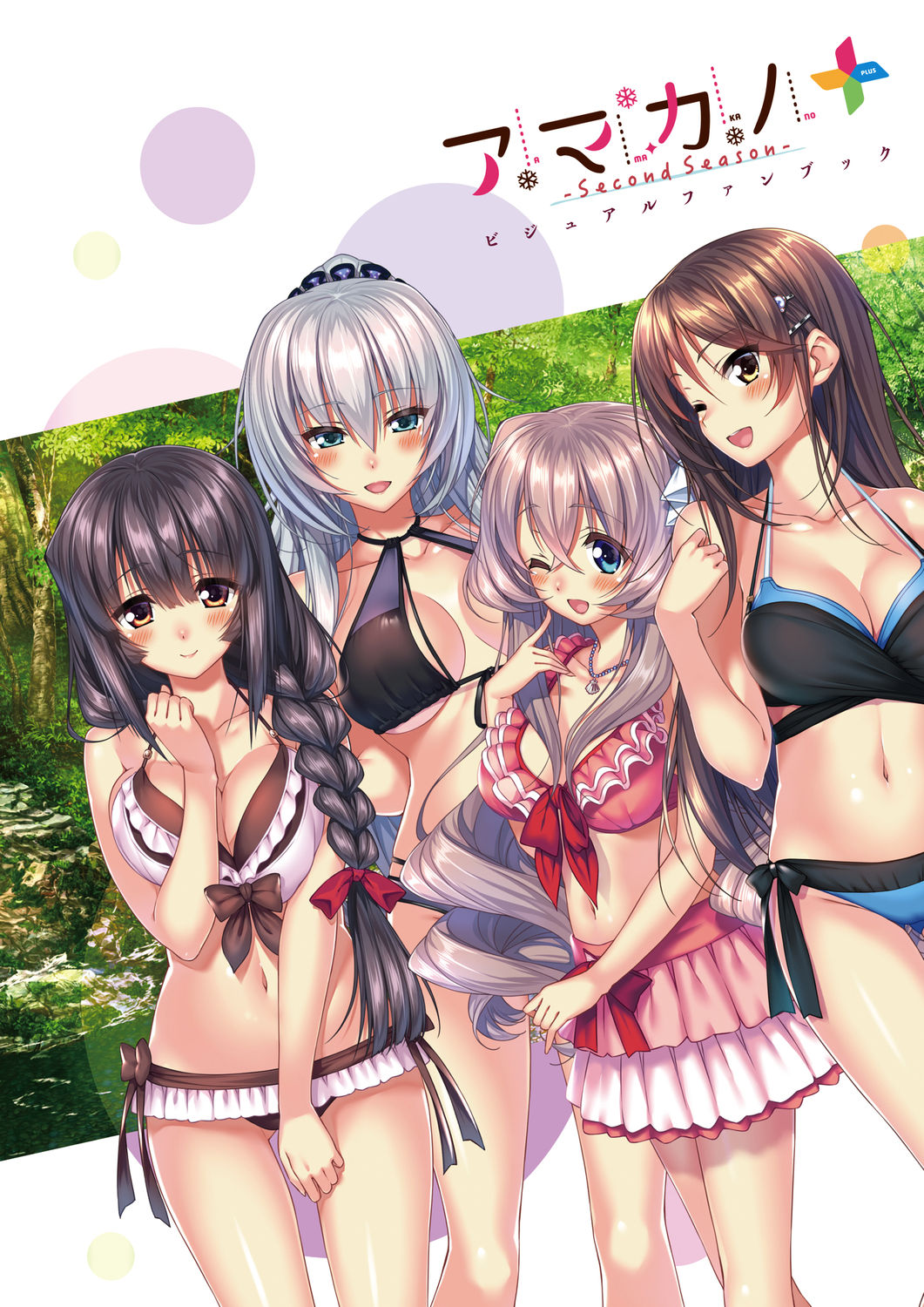 Amakano ~ Second Season ~ +  Visual Fan Book page 5 full