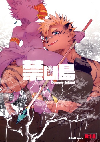 Kindan Shima - Danger Island cover