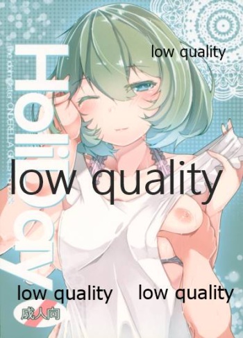 HoliDay cover