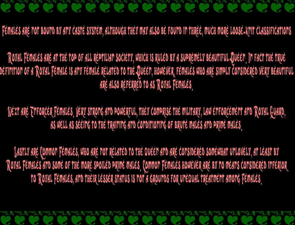 Lizzerd Pink CD page 4 full